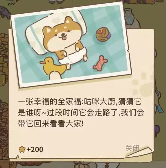 动物餐厅