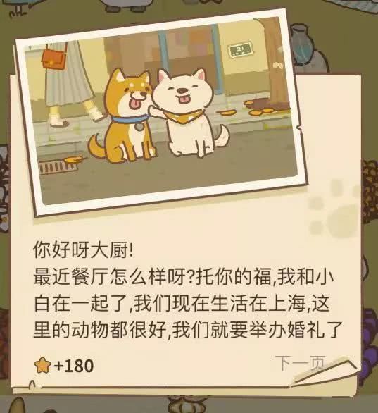 动物餐厅