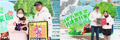 《传说中的合合岛》认养濒危小熊猫，用游戏传播公益正能量