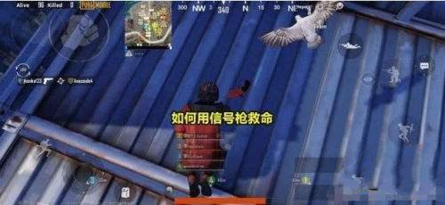 和平精英