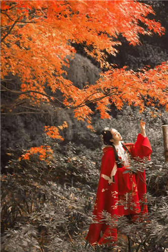 做过女团,获奖无数,这些宝藏主播竟然都在网易CC直播……