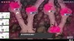 宝可梦剑盾极巨大冒险关底属性对应宝可梦表