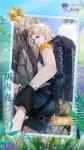 梦间集天鹅座浅夏流萤卡面介绍