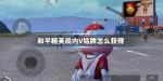 和平精英名字旁边的V标志怎么获得