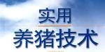 王者模拟战养猪流怎么玩 养猪流阵容攻略