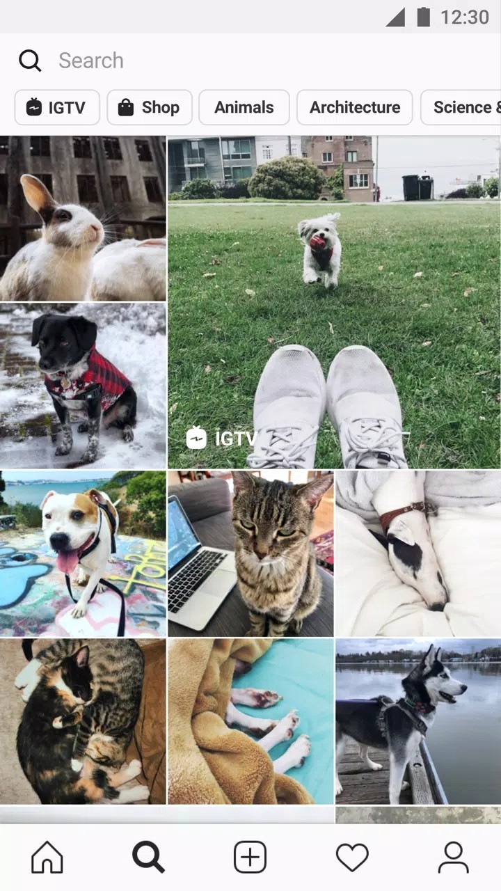 instagram拍照截图