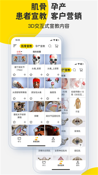 3dbody解剖最新版截图