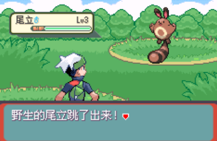 口袋妖怪传说绿宝石截图
