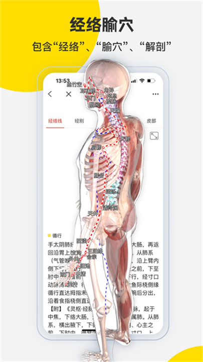 3dbody解剖最新版截图