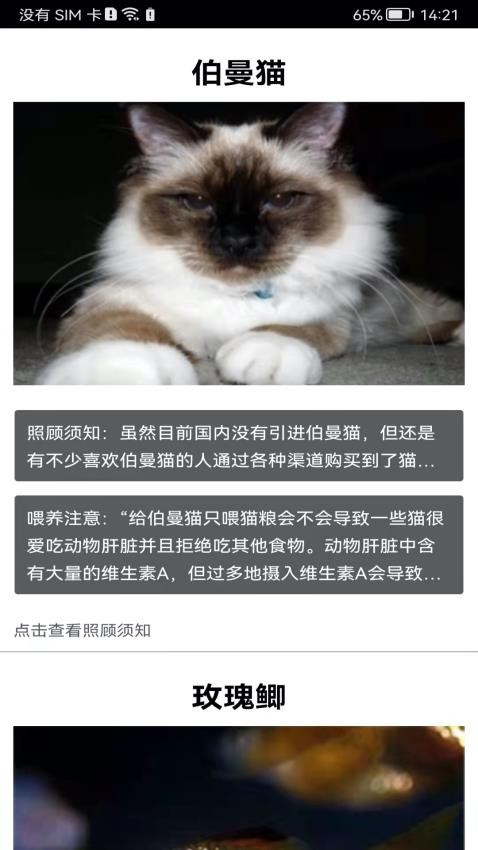 拍照识花神器截图