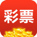 六盒宝典